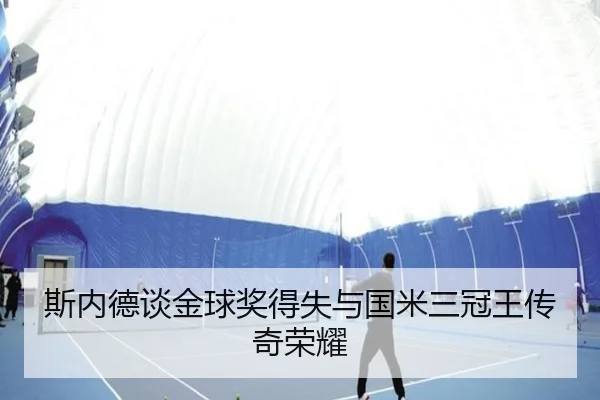 斯内德谈金球奖得失与国米三冠王传奇荣耀（AYXSPORTS）